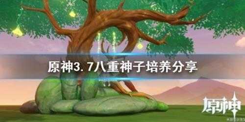 《原神》3.7八重神子培养分享 八重神子怎么培养？