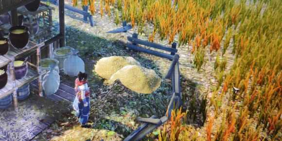 《天命奇御》沙参在哪 药材沙参获取方式介绍