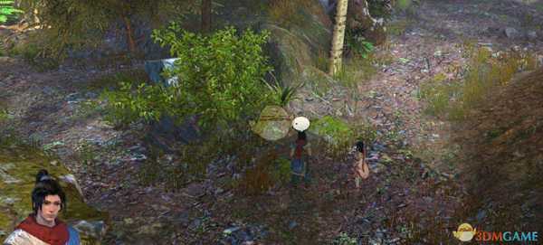 《天命奇御》蛊跃圣经在哪 药王遗迹支线任务流程简述