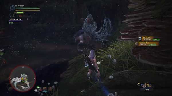 《怪物猎人：世界》飞雷龙详细打法心得 飞雷龙怎么打