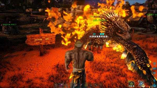 《方舟：生存进化》凤凰饲养心得 凤凰怎么养