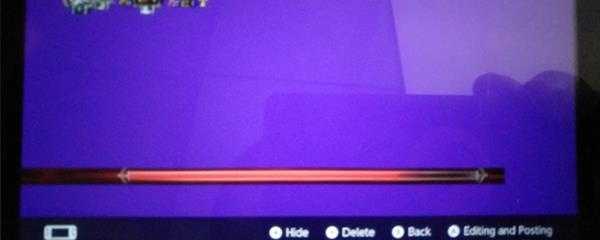 盐和避难所NS版本花屏怎么解决