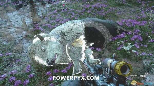 《孤岛惊魂:新曙光》野牛狩猎位置指南