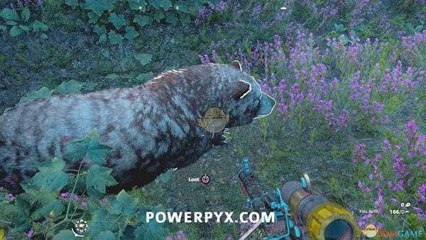 《孤岛惊魂:新曙光》灰熊狩猎位置指南