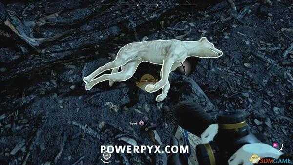《孤岛惊魂:新曙光》野狗狩猎位置指南