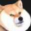 《柴犬梦太郎》全成就中文版一览