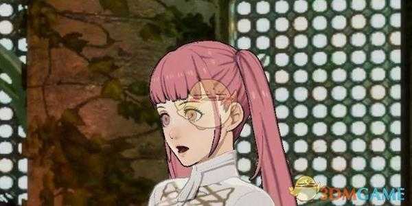 《火焰纹章:风花雪月》希尔妲特技效果介绍