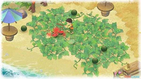 《哆啦A梦：大雄的牧场物语》送礼物给兰奇任务攻略