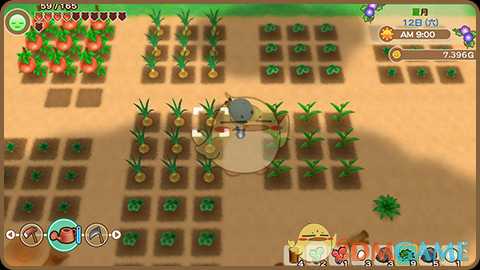 《牧场物语:重聚矿石镇》种植农作物