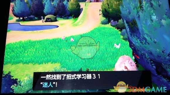《宝可梦:剑/盾》招式学习器31迷人位置分享