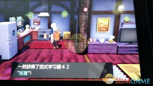 《宝可梦:剑/盾》招式学习器42报复位置分享