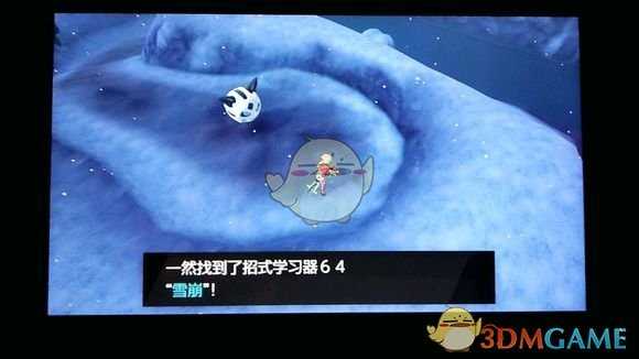 《宝可梦:剑/盾》招式学习器64雪崩位置分享
