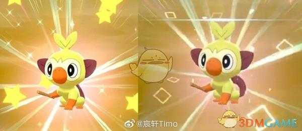 《宝可梦:剑/盾》欧皇闪光区分方法分享