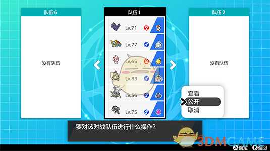 《宝可梦:剑/盾》租用队伍玩法详解