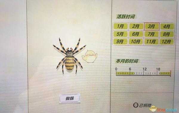 《集合啦!动物森友会》蜘蛛捕捉方法分享