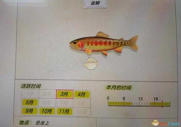 《集合啦!动物森友会》金鳟活跃月份及活跃地点分享