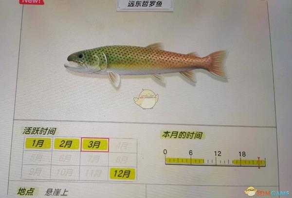 《集合啦！动物森友会》远东哲罗鱼活跃月份及活跃地点分享