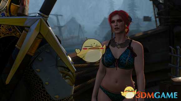 《巫师3:狂猎》【新手福利】女性NPC换衣代码大全