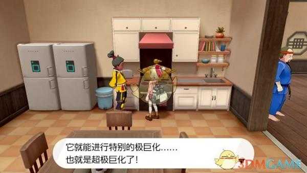 《宝可梦:剑/盾》极巨汤效果分享