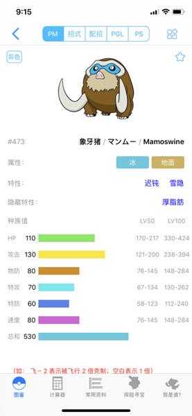 《宝可梦:剑/盾》象牙猪63单打配招