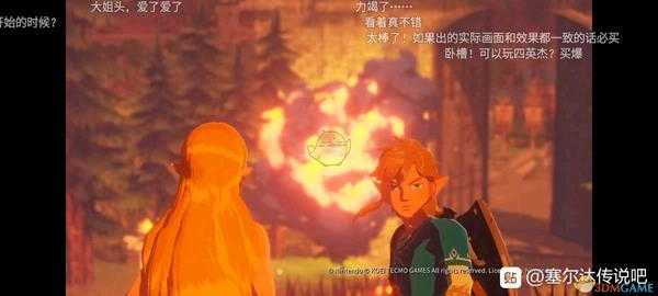 《塞尔达无双:灾厄启示录》剧情探讨分享