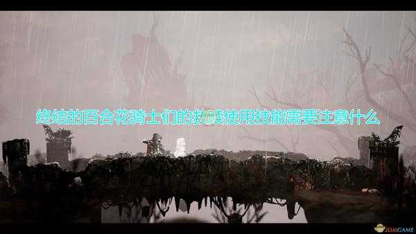 《终结的百合花:骑士们的救赎》技能使用注意事项分享