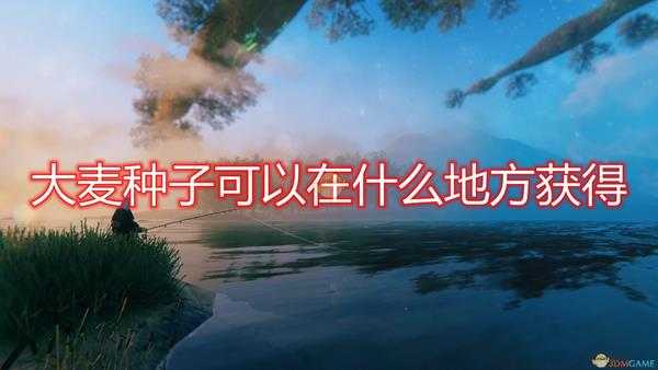 《Valheim:英灵神殿》大麦种子获取位置介绍