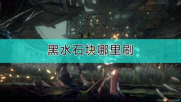 《帕斯卡契约:终极版》刷黑水石块的地方