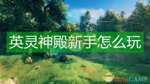 《Valheim:英灵神殿》新手前期玩法