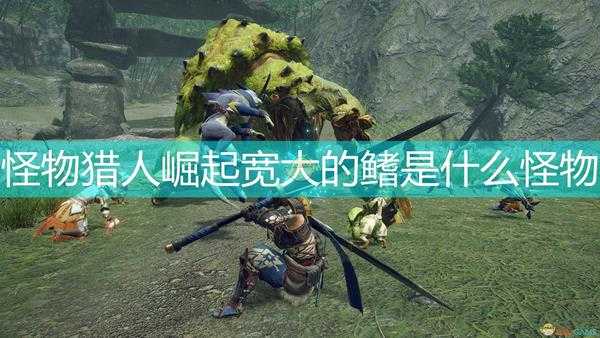 《怪物猎人:崛起》宽大的鳍怪物介绍