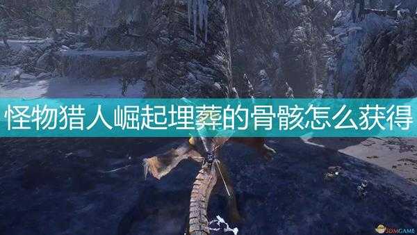 《怪物猎人:崛起》埋葬的骨骸获取位置分享