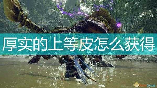 《怪物猎人:崛起》厚实的上等皮获取怪物介绍