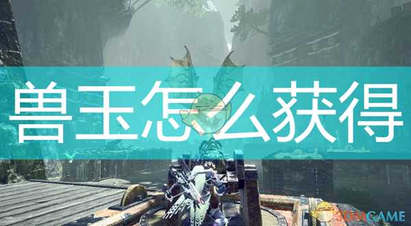 《怪物猎人:崛起》兽玉获得方法介绍