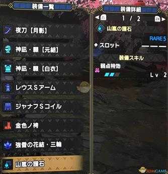 《怪物猎人:崛起》迅龙太刀平民配装