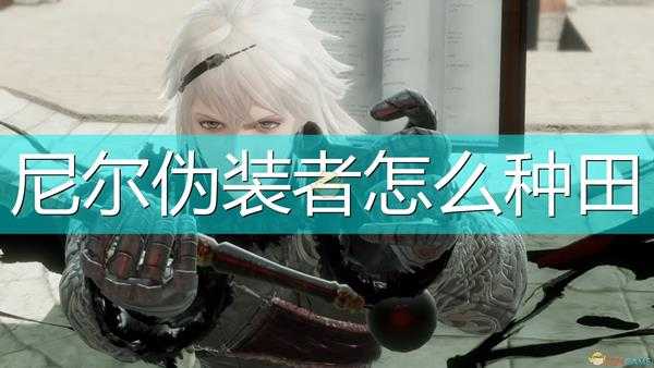 《尼尔:伪装者》种田方法介绍