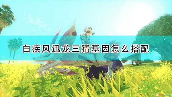《怪物猎人物语2:毁灭之翼》白疾风迅龙三猜基因搭配推荐