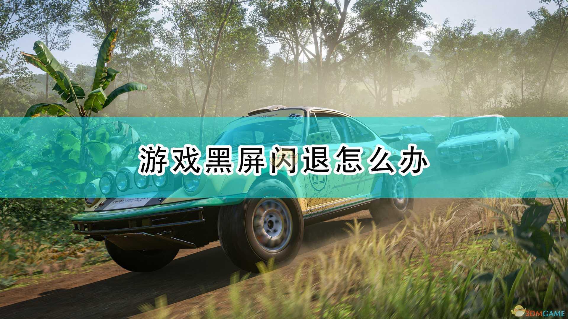 《极限竞速:地平线5》黑屏闪退问题解决方法介绍