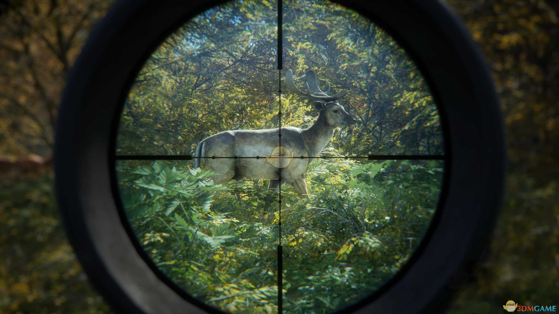 《猎人:荒野的呼唤》猎物分布手册全地图分享