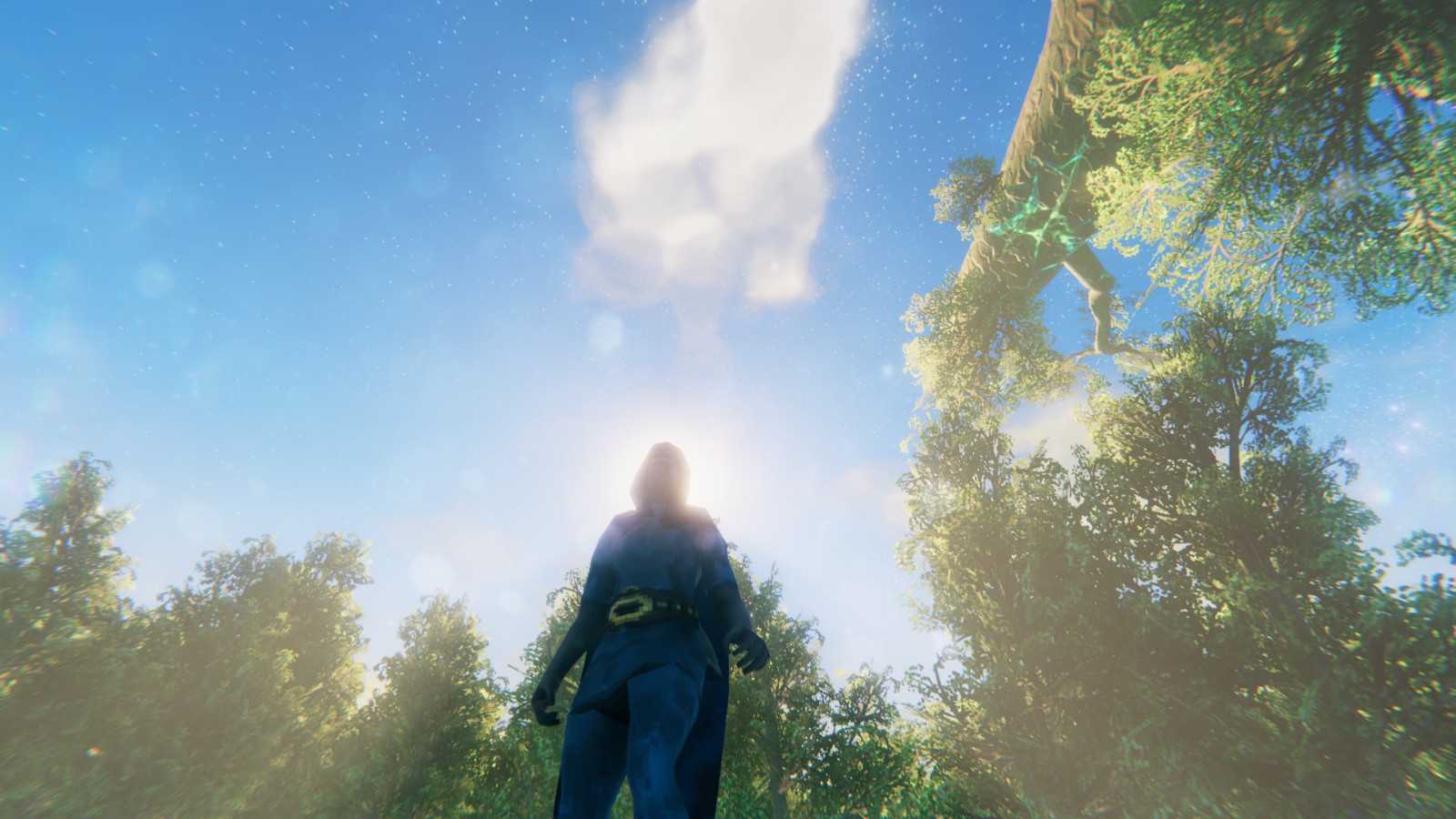 《Valheim:英灵神殿》图像设置步骤分享