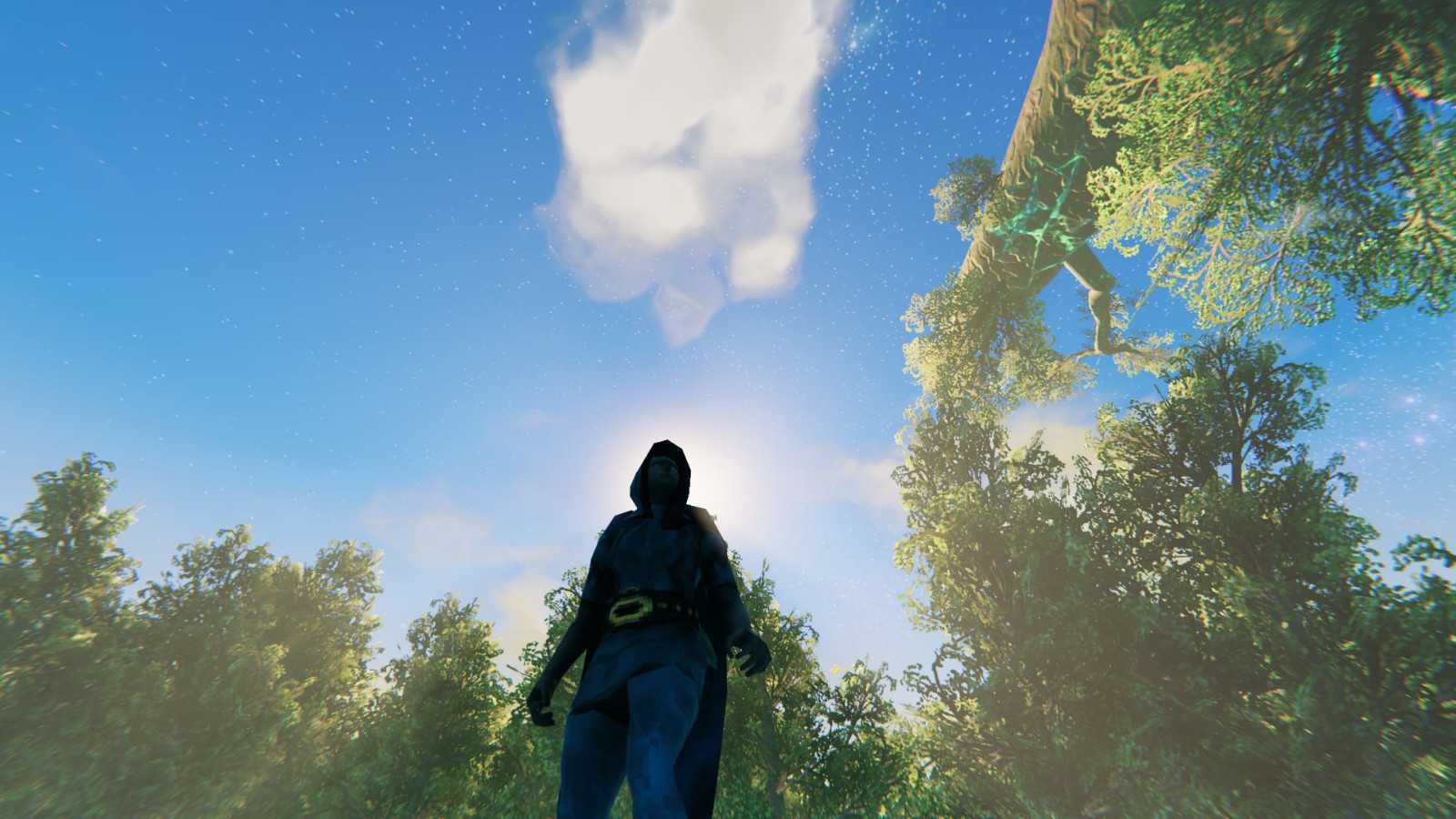 《Valheim:英灵神殿》图像设置步骤分享