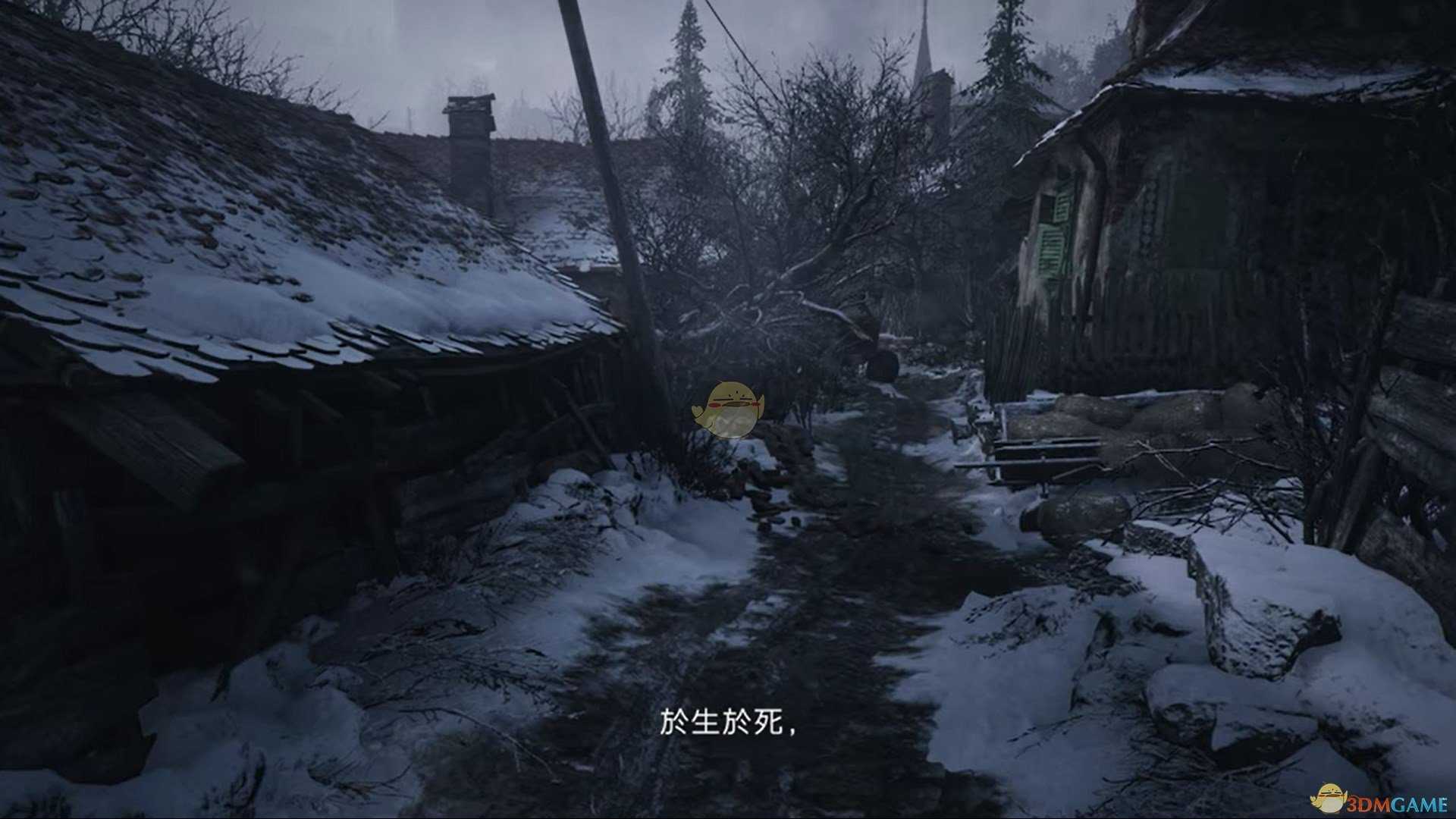 《生化危机8:村庄》游戏基本规则分享