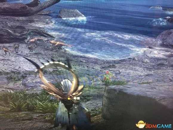 怪物猎人世界全稀有鱼类出现位置汇总