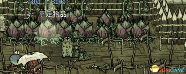 饥荒食人花快速刷肉技巧分享 饥荒食人花如何刷肉