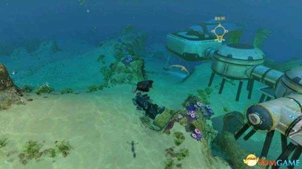 美丽水世界宠物养殖方法 美丽水世界如何饲养宠物