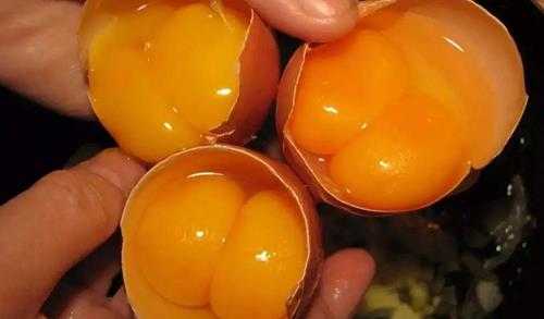 双黄蛋是怎么形成的(双黄蛋比普通鸡蛋有营养吗)