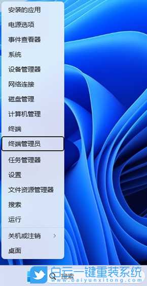 Win11文件夹里的图标能显示但是小图标空白(windows11 文件夹图标)