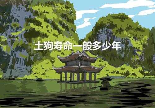 土狗寿命一般多少年(一般的土狗能活多少年)