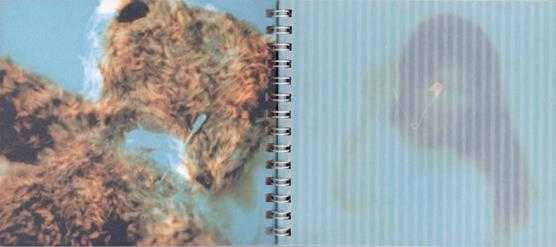 江希文.1994-伝说少女(饿狼伝说动画原声大碟)【嘉音】【WAV+CUE】