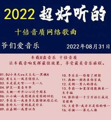 群星《2022超好听的十倍音质网络歌曲(13)》mp3/WAV分轨