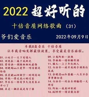 群星《2022超好听的十倍音质网络歌曲(31)》WAV分轨